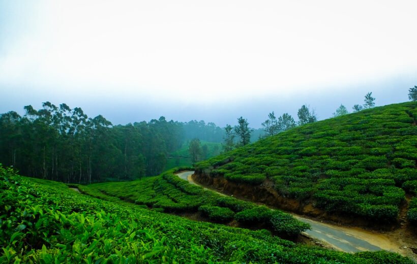 Gangtok Pelling Darjeeling Tour