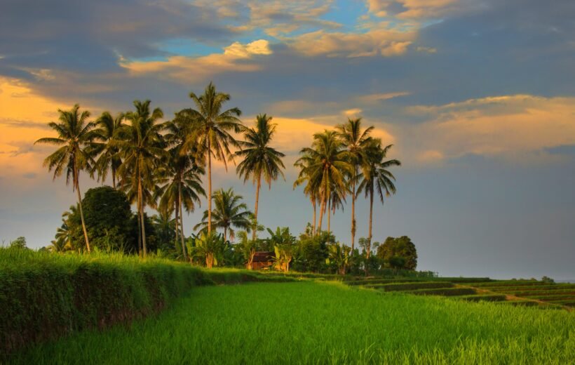 Kerala Beaches and Forests